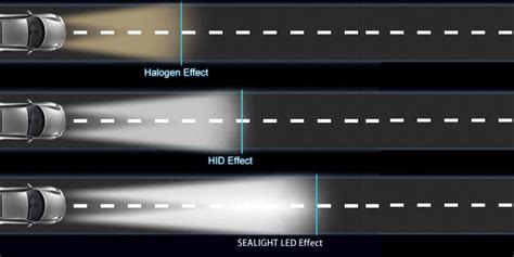 Headlights to Taillights: A Complete Car Care Guide
