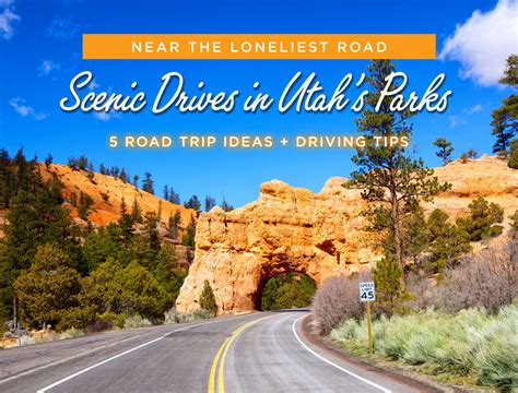 National Park Adventures: Scenic Drives for Nature Lovers