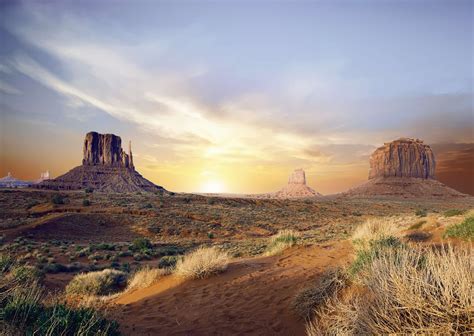 Desert Delights: Adventures in Arid Landscapes